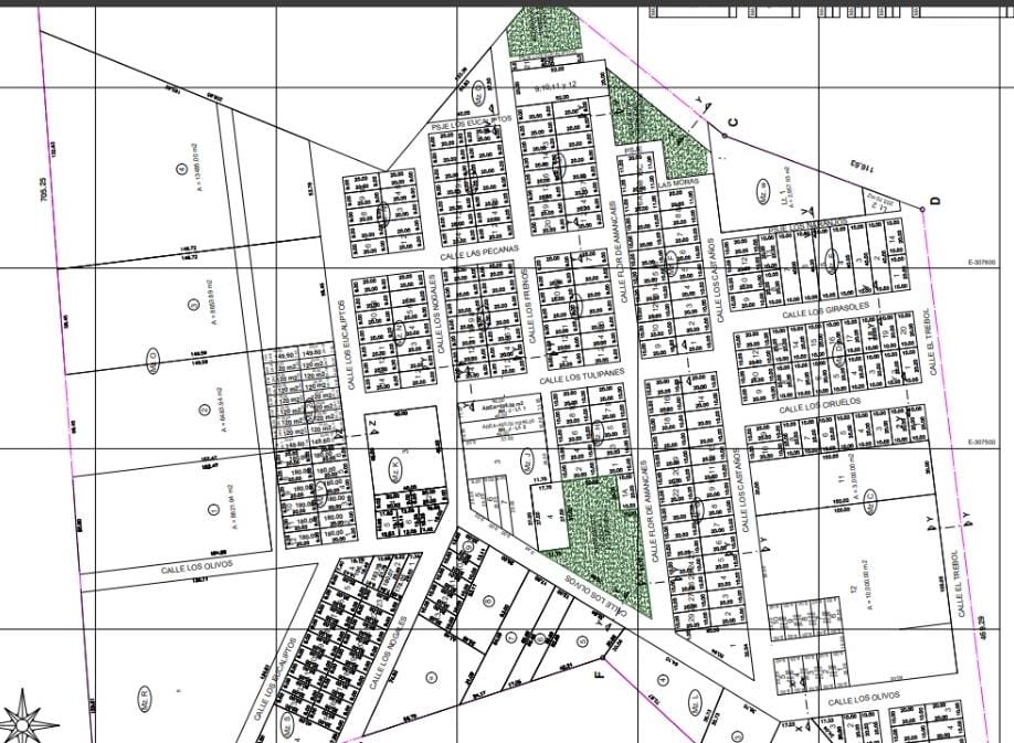Plano general del proyecto Las Casuarinas del Sur